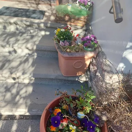 Casa Palma 公寓 基茨比厄尔